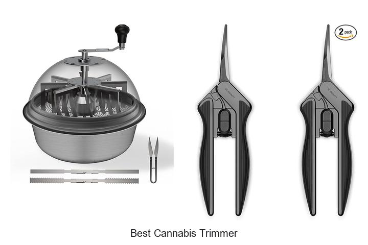 Best Cannabis Trimmer That Will Change Your Harvest Game