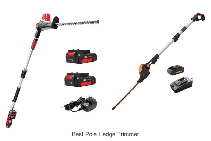 Best Pole Hedge Trimmer That Will Transform Your Garden!
